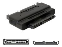 Serial-ATA-Adapter DeLock micro-SATA zu SATA